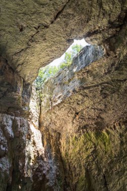 Mağara witn (Bulgaristan, Devetashka Ca damda bir delik içinde