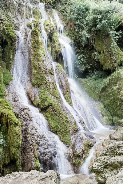 Küçük bir şelale orman (Krushuna, Bulgaristan) 3