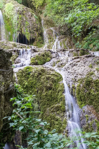 (Krushuna, Bulgaristan ormandaki küçük şelaleler bir çağlayan)