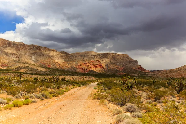 Road 1005, Littlefield, AZ 86432, USA Royalty Free Stock Photos