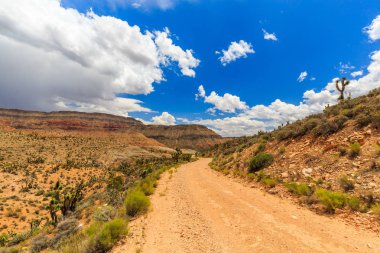 Yol 1005, Littlefield, Az 86432, ABD