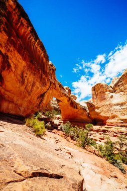 Doğal Arch, Hickman Köprüsü, Capitol resif Milli Parkı, Utah, 