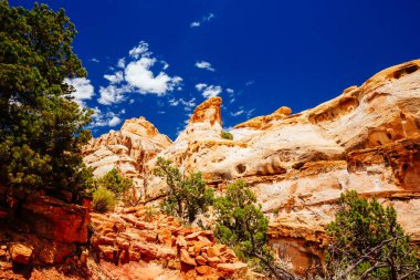 Hickman köprü iz, sermaye resif Milli Parkı, Utah, Amerika