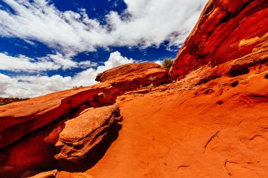 Green river manzaralıdır, canyonlands Milli Parkı, utah, ABD
