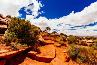 Green river manzaralıdır, canyonlands Milli Parkı, utah, ABD
