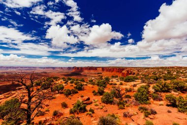 Green river manzaralıdır, canyonlands Milli Parkı, utah, ABD