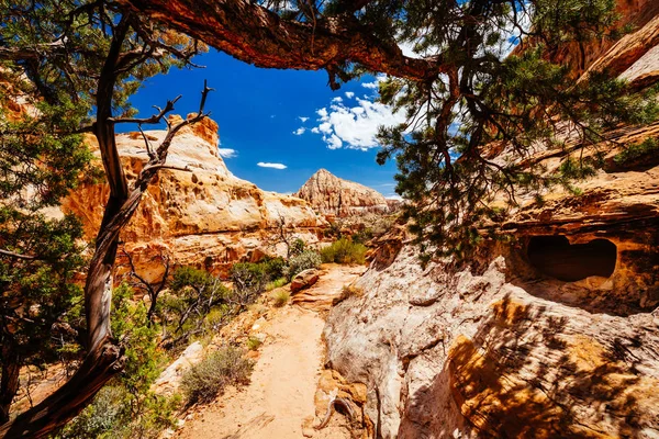 Szlaku most Hickman, Park Narodowy Capital Reef, Utah, Stany Zjednoczone Ameryki — Zdjęcie stockowe