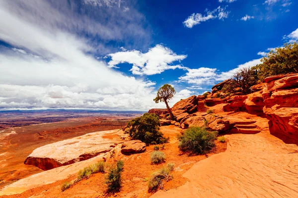 Green River Overlook, Canyonlands National Park, Utah, Сша — стоковое фото