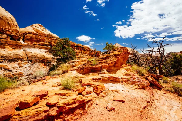 The Hickman Bridge Trail, Capital Reef National Park, Utah, USA Royalty Free Stock Photos