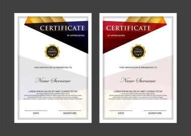 Sertifika Premium ödülleri şablonu diploma arkaplan vektörü modern değer tasarımı ve lüks tasarım. Kapak broşürü zarif dikey İllüstrasyon