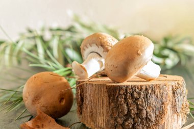 Tahta masada taze aromatik şampiyonlar var.. 