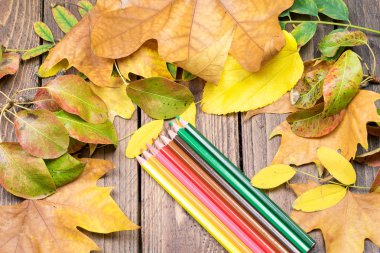 Ahşap banyodaki çeşitli yapraklardan renkli kalemler ve vignette.