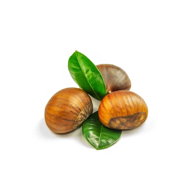 Chestnuts, ripe and unpeeled, on the white background, closeup, 