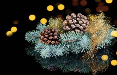 Doğanın Noel ve Yeni Yıl dekoratif kompozisyonu