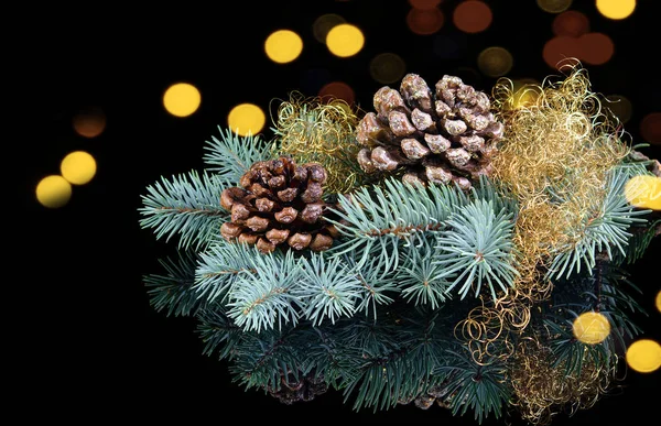 Doğanın Noel ve Yeni Yıl dekoratif kompozisyonu