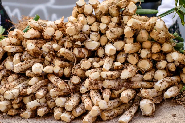 Heap, grupo de cebolinha fresca pronta para grelhar e vender ou ea — Fotografia de Stock