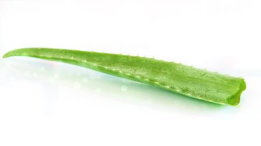 Beyaz arkaplandaki Aloe Vera yaprağı izole edilmiş. Sağlık ve cilt bakımı konsepti. Alternatif yenilenme ilacı, kozmetik malzemeleri.. 