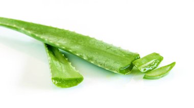 Beyaz arka plandaki aloe vera bitkisinin yaprakları yakın plan, izole. Doğal tıp için yenilenme bileşeni. 
