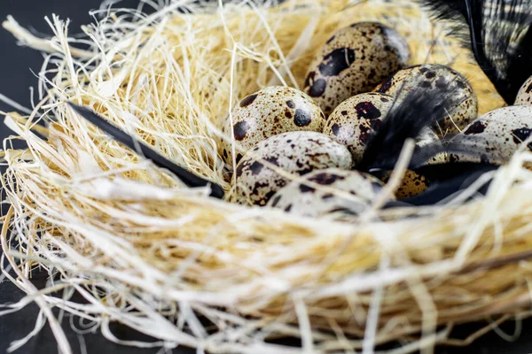 Spotted Colorful Eggs Hay Nest Closeup Dark Mode Black Background — Stock Photo, Image