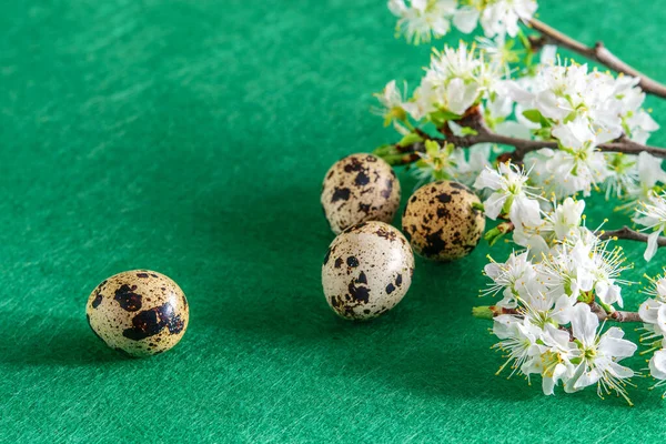 Kwartels Gespot Eieren Een Tak Van Bloeiende Fruitboom Groene Achtergrond — Stockfoto