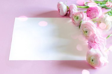 Bir buket taze ranunculus ya da pembe arka planda düğün çiçeği, yazı için çerçevelenmiş beyaz alan. Anneler günü, kadınlar günü, sevgililer günü ya da paskalya bayramı.. 