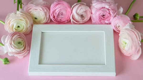 Spring flowers ranunculus framed white frame with a space for text. Greeting card for mom's day, women day, valentine day or happy easter.