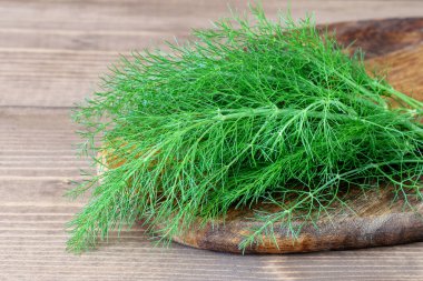 Ahşap arka planda taze yeşil dereotu. Sağlıklı bitkisel sos dereotu.. 