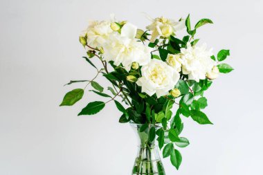 Mavi arka plandaki cam vazoda bir buket beyaz gül. Anneler Günü ya da herhangi bir bayram için güzel bir hediye.. 