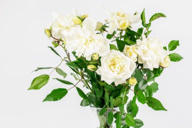 Beyaz arka planda bir buket beyaz gül. Yakın plan. Mutlu Anneler Günü 'nü kutlamak için güzel bir hediye, Sevgililer Günü.. 