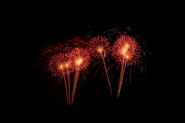 New Year celebration fireworks — Stock Photo, Image