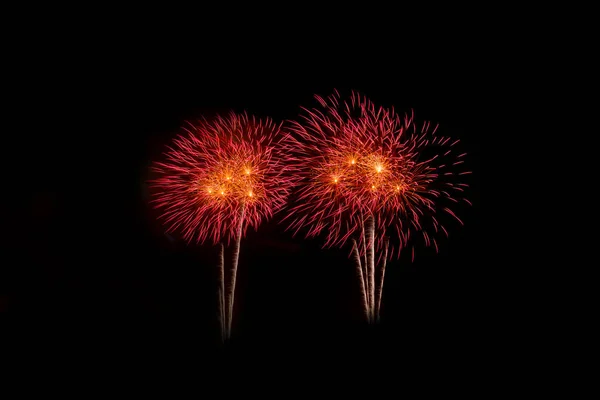 New Year celebration fireworks — Stock Photo, Image