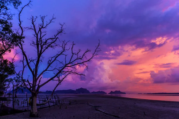 Silhouetted stranden vid solnedgången tid, på twilight sky efter — Stockfoto