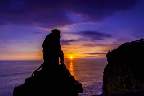 视图轮廓的猴子在日落时分在乌鲁瓦图悬崖在巴厘岛，我 — 图库照片