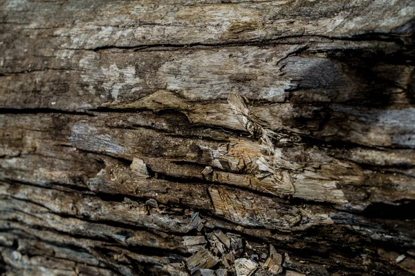 ahşap arka plan yüzeyi.