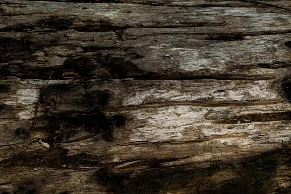 ahşap arka plan yüzeyi.