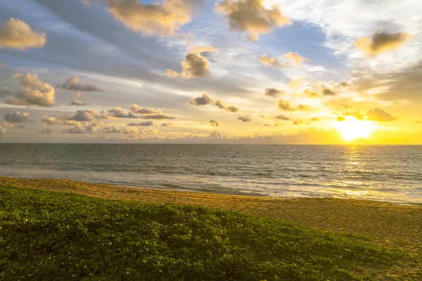 Sanddynerna mot solnedgången ljus på stranden — Stockfoto