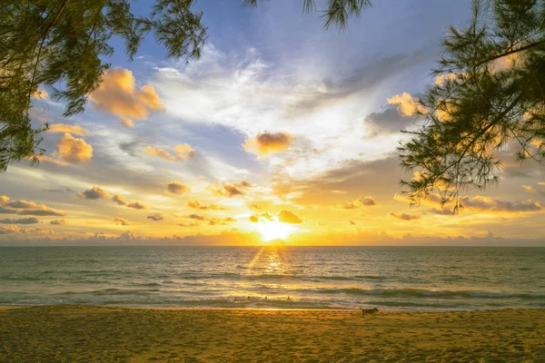 Homokdűnék ellen a naplemente fény a strandon — Stock Fotó