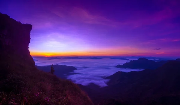 Bergen onder mist in de ochtend in Phuchifa Chiang Rai, Thail — Stockfoto