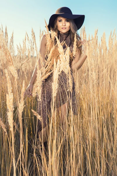 Beautiful model at a tallgrass meadow — Stock Photo, Image