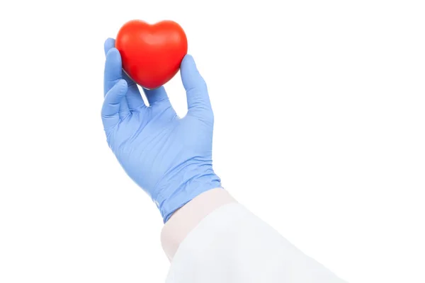 Geneeskunde en gezondheidszorg - dokter hart speelgoed bedrijf op witte achtergrond — Stockfoto