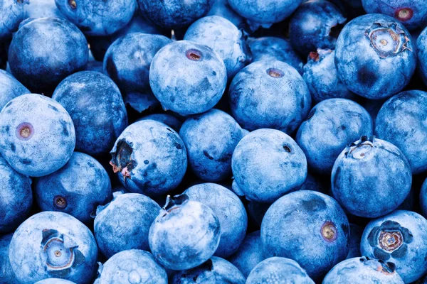 Bunch of fresh blueberries - studio shot. Filtered image: cross processed vintage effect. — Stock Photo, Image