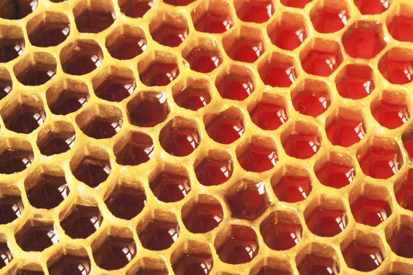 Miel orgánica - concepto de comida sana. Imagen filtrada: efecto vintage cruzado. — Foto de Stock