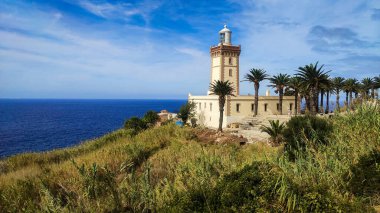 Etrafında palmiye ağaçları ve arka planda deniz olan bir deniz feneri manzarası.