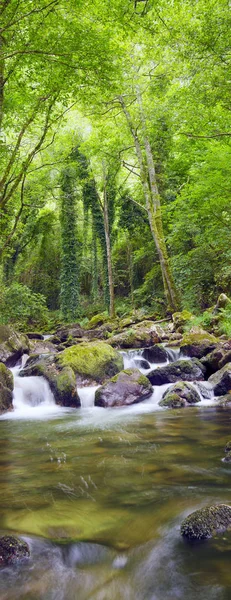 Bergrivier — Stockfoto