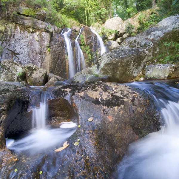 Fiume di montagna — Foto Stock