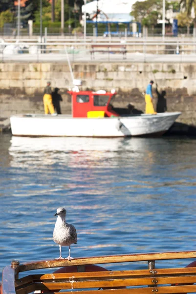 Порт місті Ferrol — стокове фото