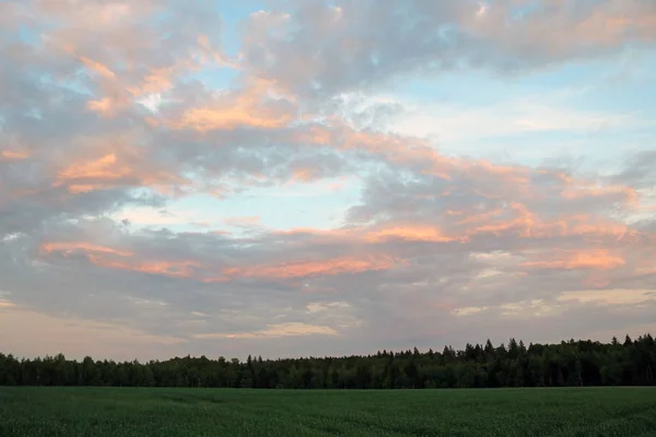 Doğada olağandışı güzel bir gün batımı