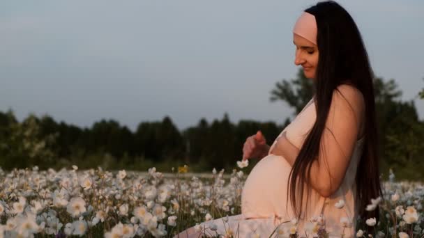 Jeune belle femme enceinte assise dans un champ de fleurs caressant son ventre et souriant au coucher du soleil . — Video