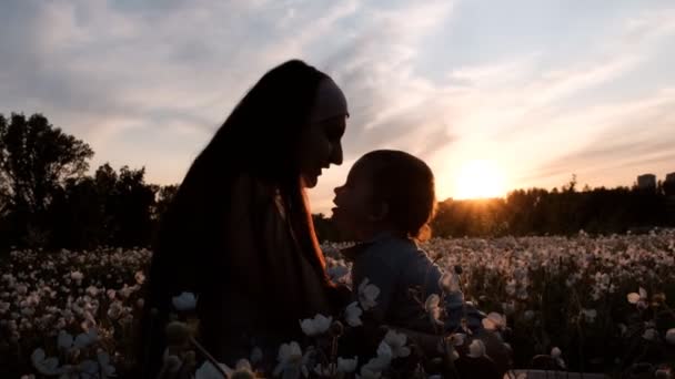 Langzame beweging van een klein kind dat bij zonsondergang in zijn moeders armen zit. Wandeling met ouders in het bloemenveld in het Park. — Stockvideo