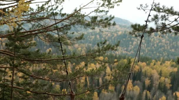 Um homem voa alto balançando em um balanço na floresta . — Vídeo de Stock